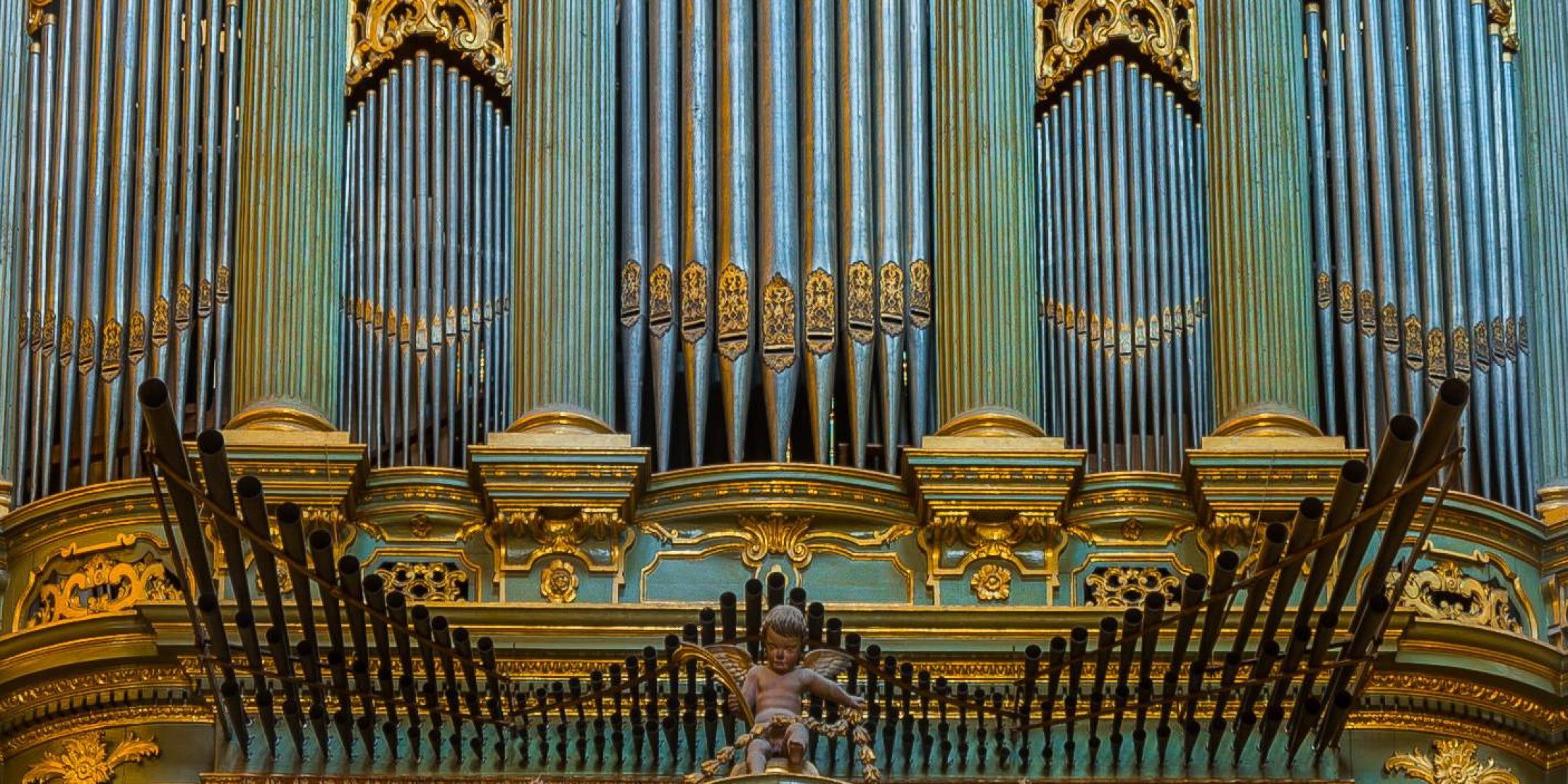 visita-organo-catedral